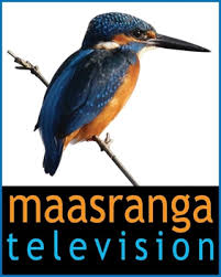 Maasranga tv